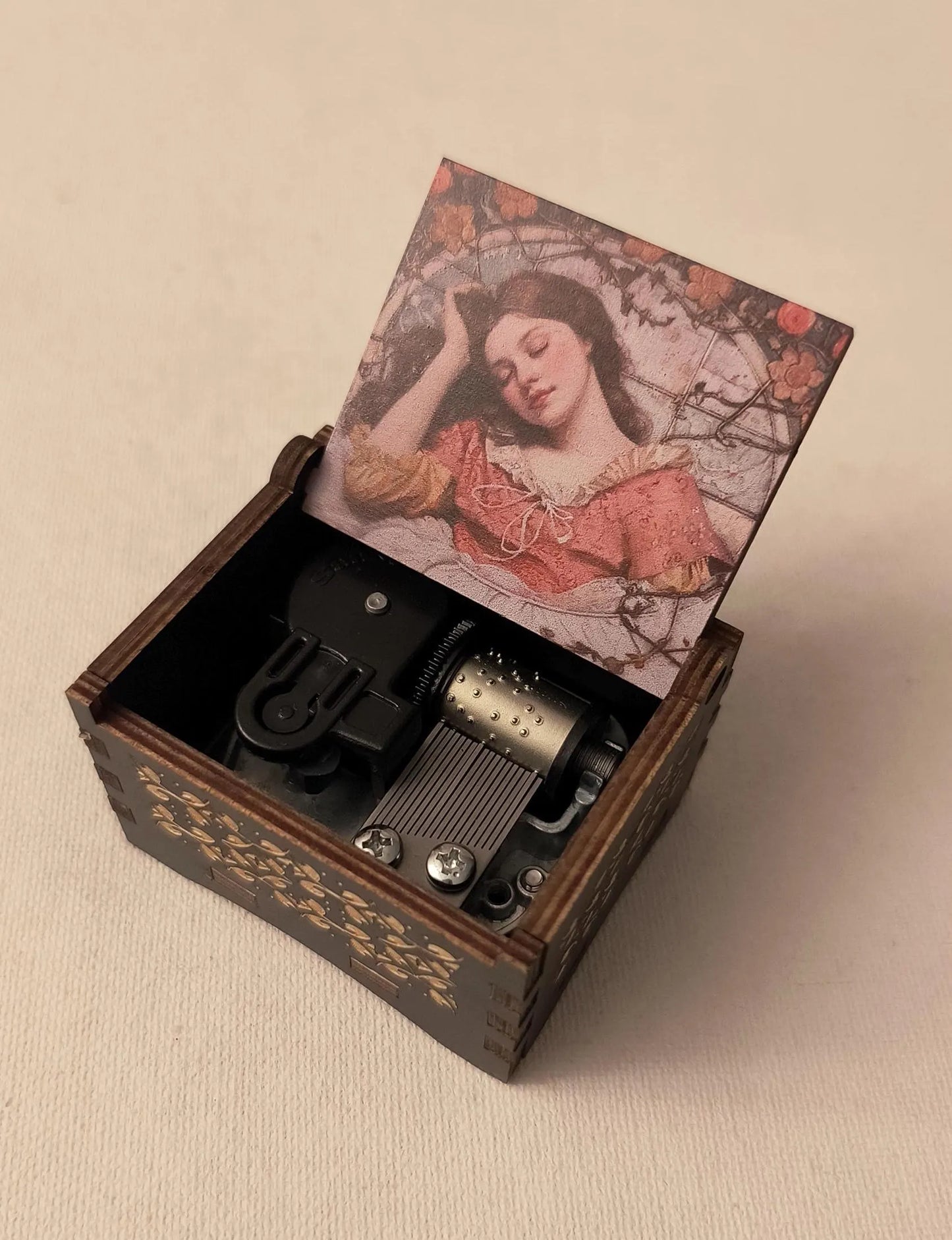 Sleeping beauty music box | Once upon a dream