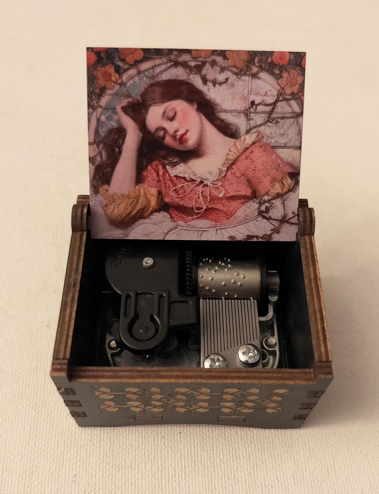 Sleeping beauty music box | Once upon a dream